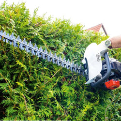 Scheppach Hedge Trimmers