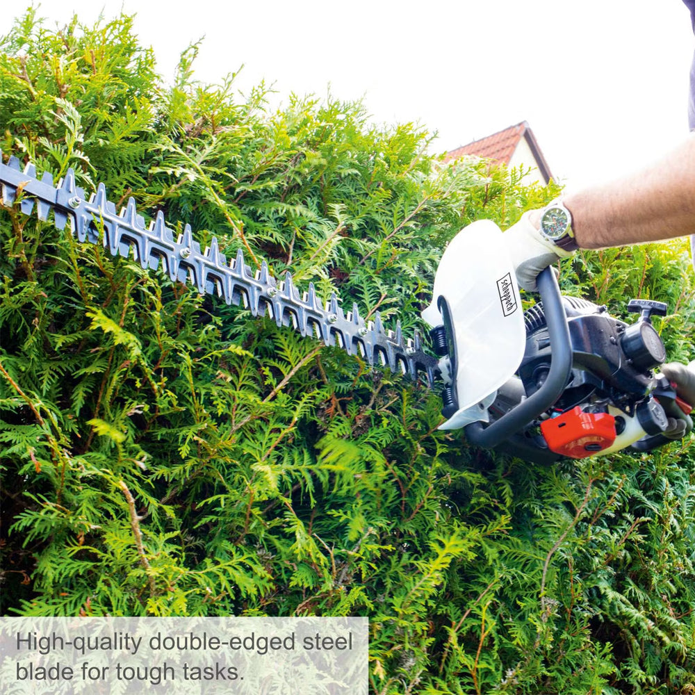 Scheppach HTH250/240P Petrol Hedge Trimmer