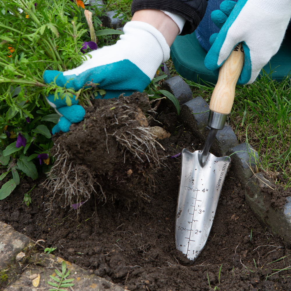 Wilkinson Sword Stainless Steel Hand Transplanter 1111125W