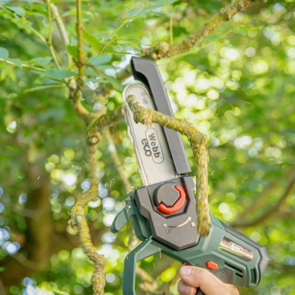 Webb Eco WEV20EXTPSB2 20V Cordless Mini Pruning Saw with Extension Pole (with 2Ah Battery & Charger)
