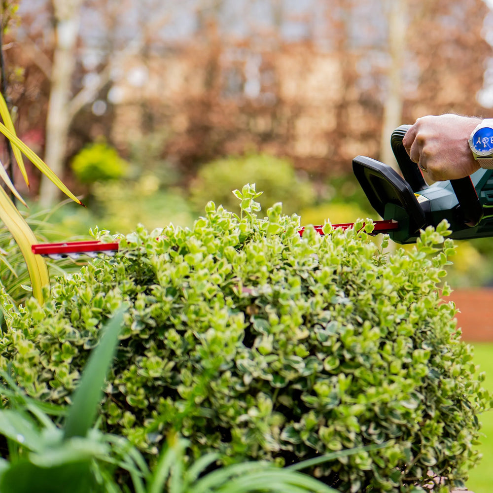 Webb Eco WEV20HTB2 20V Cordless Hedge Trimmer (with 2Ah Battery & Charger)