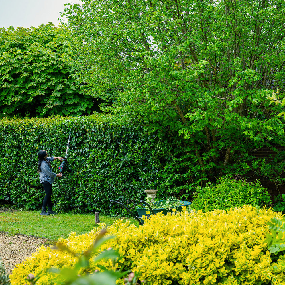 Webb Eco WEV20X2HT61BARE X-Series 40V (20V+20V) Cordless Hedge Trimmer (Tool Only)