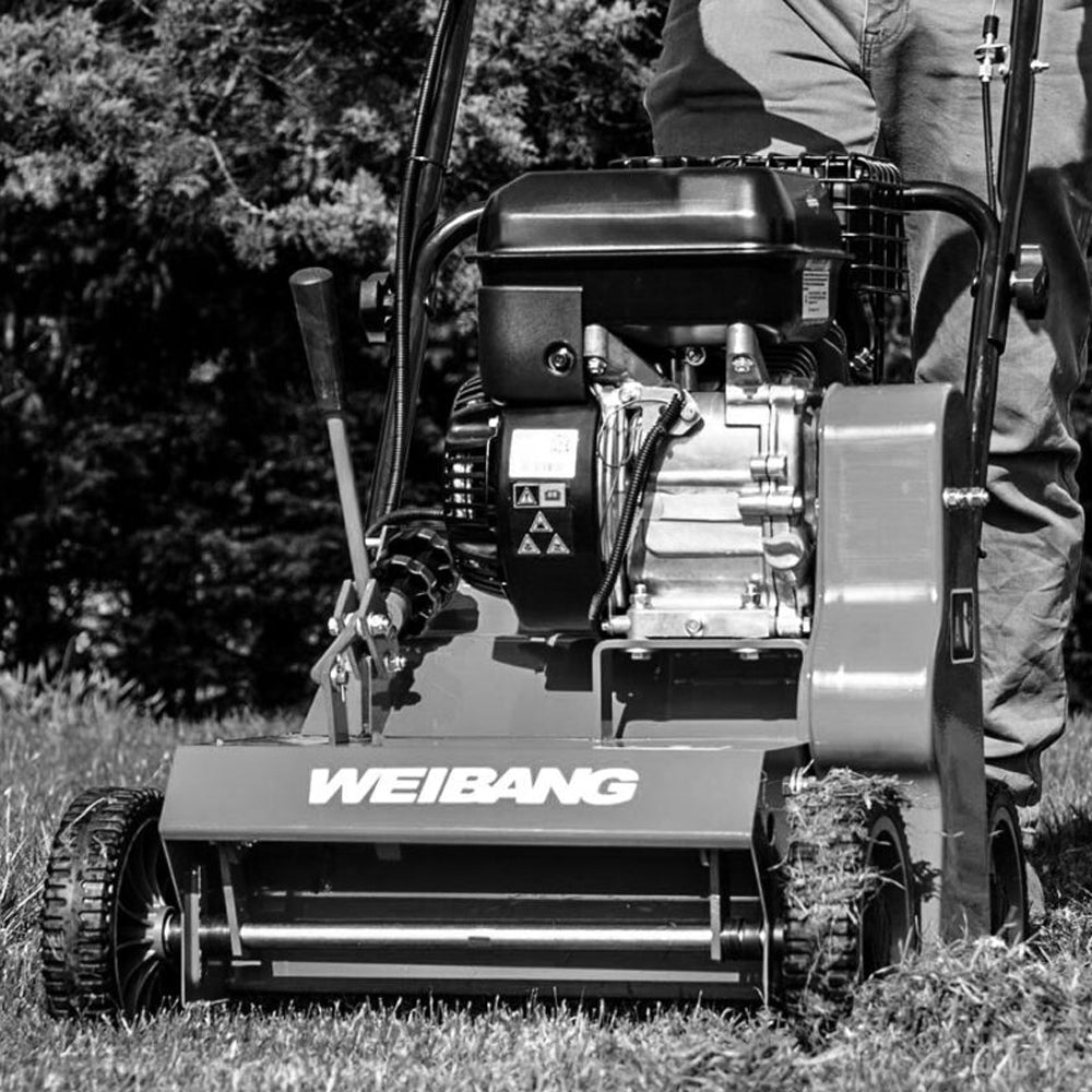 Weibang Intrepid 38 SCP Petrol Lawn Scarifier