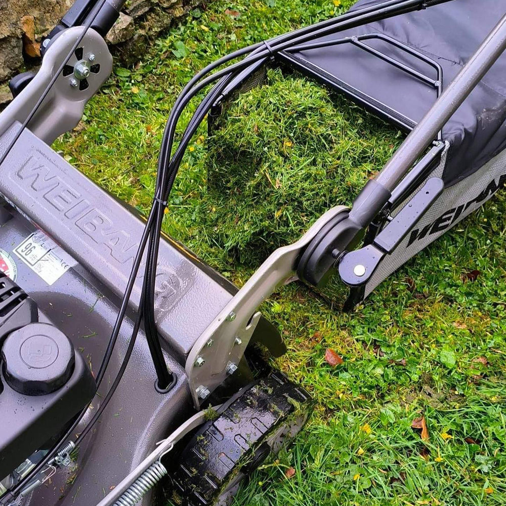 Weibang Virtue 50 SVP-H 4-in-1 Variable Speed Self-Propelled Petrol Lawn Mower