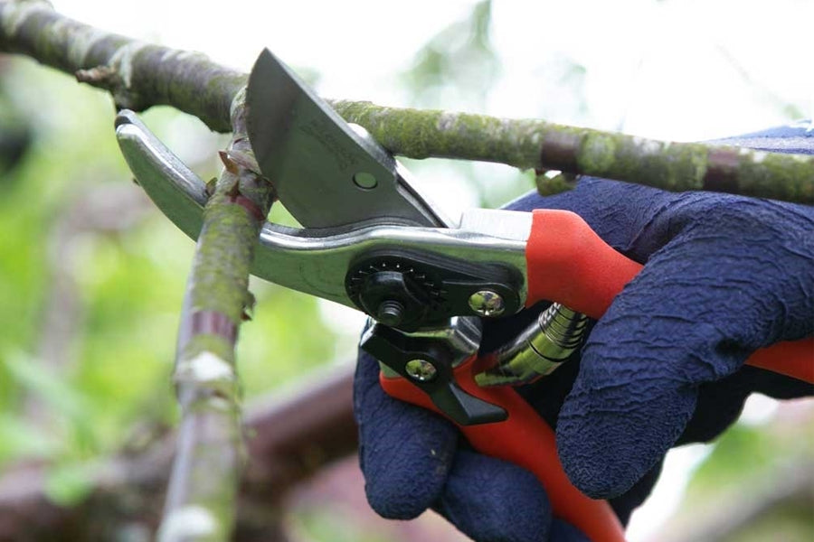 Wilkinson Sword Folding Pruning Saw & Pruner Set 1111295WG