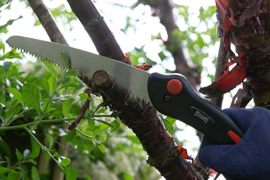Wilkinson Sword Folding Pruning Saw & Pruner Set 1111295WG