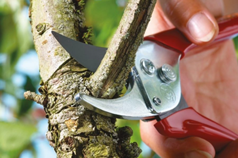 WOLF-Garten 'Basic Plus' General Purpose Bypass Secateurs