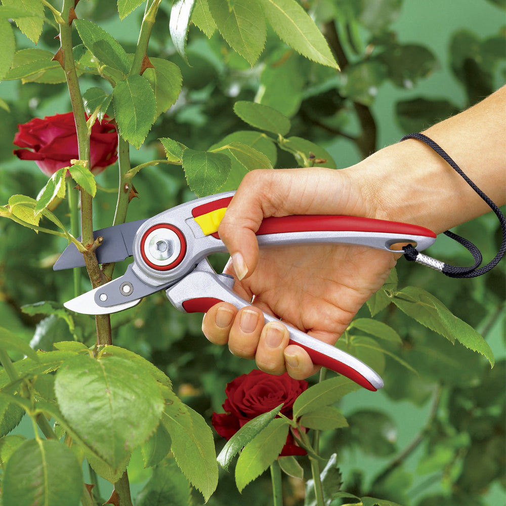 WOLF-Garten Professional Anvil Secateurs