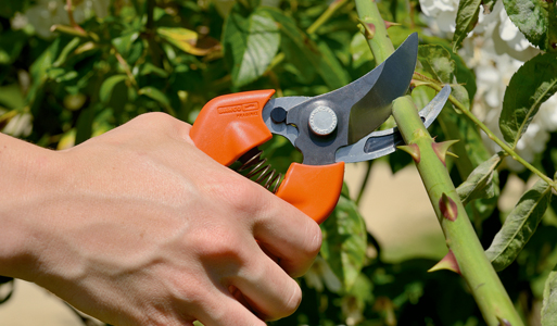 Bahco Secateurs