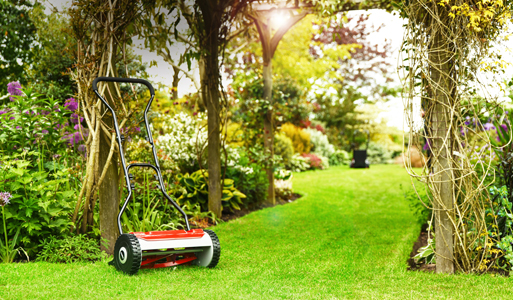 Cobra Hand Lawn Mowers