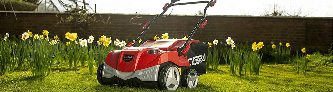 Cordless Lawn Scarifiers