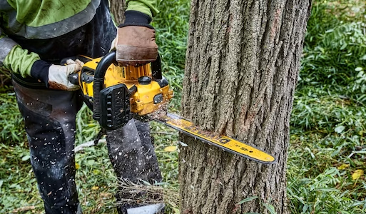DeWalt Chainsaws, Pole & Pruning Saws