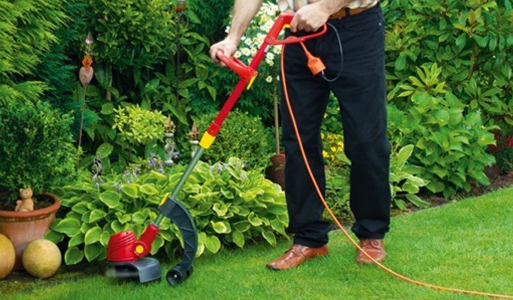 Electric Strimmers