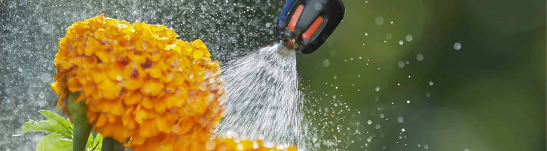 Garden | Professional Sprayers