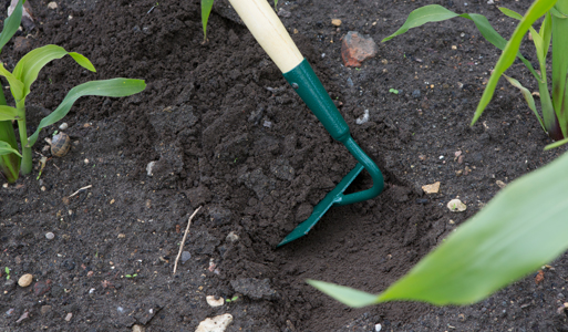 Digging & Cultivating Tools