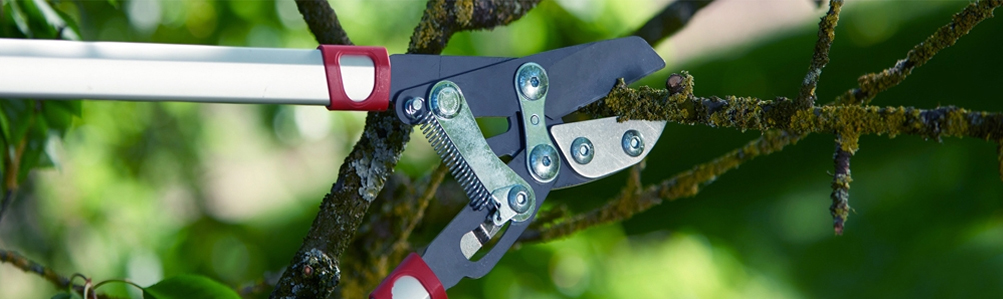 WOLF-Garten Hand Tool Cutting Range with Fixed Handle