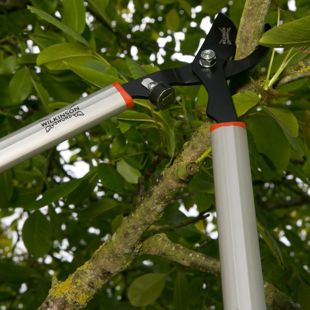 Wilkinson Sword Ratchet Anvil Loppers 1111336W