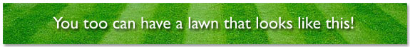 MO Bacter - you too can have a lawn like this!
